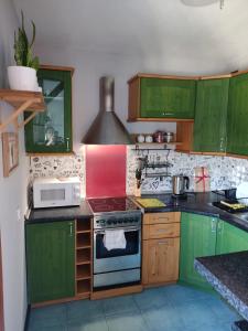 a kitchen with green cabinets and a stove top oven at Gallery Apartament in Warsaw