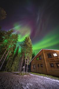 a cabin with the northern lights in the sky at Villa ArcticFox Levi in Kittilä