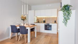 Kuchnia lub aneks kuchenny w obiekcie Apartamenty Sun & Snow BLUE II