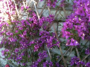 a bunch of purple flowers on a stone wall at La Casa di Ulisse B&B in Quercianella