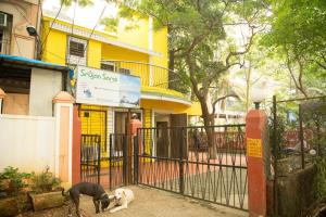 ムンバイにあるSrujan Sarai Service Apartmentの建物前の柵の横に立つ犬2匹