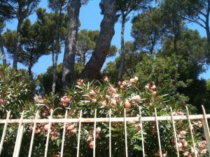 a fence with pink flowers in front of trees at La Casa di Ulisse B&B in Quercianella
