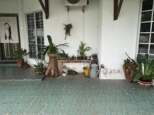 a porch with potted plants on the side of a building at REQUELstore in Sungai Pelik
