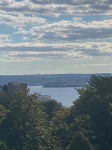 a view of a large body of water with trees at Upmarket 2 bedroom apartment with sea views in Torquay