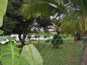a fence in front of a park with trees and a lake at REQUELstore in Sungai Pelik