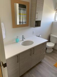 a bathroom with a sink and a toilet at La Grange sur le Lac App A et B in Saint Romain +44 photos