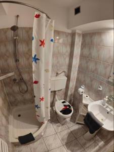 a bathroom with a shower and a toilet and a sink at Hotel Olimpijski in Tarnowskie Góry