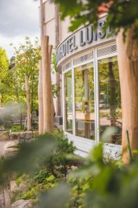 Zahrada ubytování Hotel Luise