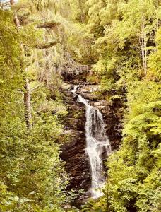 a waterfall in the middle of a forest at Tummel valley holiday park in Tummel Bridge
