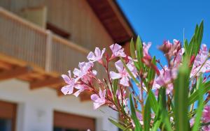 a bunch of pink flowers in front of a building at Ferienwohnung zwischen Burghausen und Salzburg in Tittmoning
