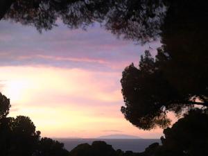 a sunset in the sky with trees in the foreground at La Casa di Ulisse B&B in Quercianella