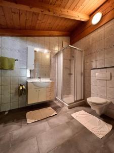 a bathroom with a shower and a sink and a toilet at Schulhaus Tirol in Zell am Ziller