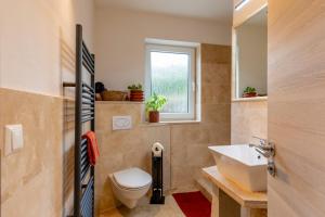 bagno con servizi igienici, lavandino e finestra di Pfälzer Nest a Pleisweiler-Oberhofen