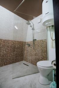 a bathroom with a shower and a toilet at Eco Village In The Forest in Lagodekhi