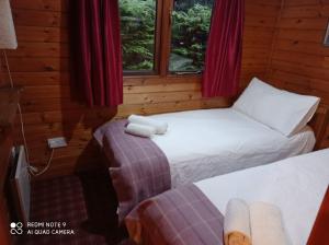 um quarto com duas camas num chalé de madeira em Lurchers Cabin Aviemore em Aviemore