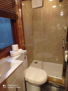 a bathroom with a shower and a toilet and a sink at Lurchers Cabin Aviemore in Aviemore