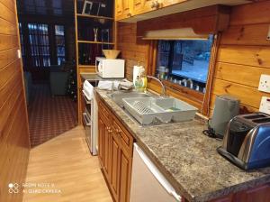 a kitchen with a sink and a microwave at Lurchers Cabin Aviemore in Aviemore