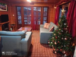 a living room with a christmas tree and a couch at Lurchers Cabin Aviemore in Aviemore