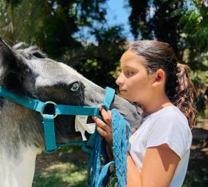 Una joven está parada junto a un caballo en La Vie En Rose, en Marrakech