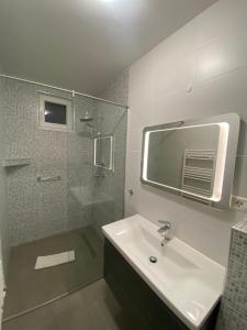 Un baño con lavabo y ducha con espejo. en Dodo House, en Brasov