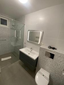 Un baño con inodoro, lavabo y ducha. en Dodo House, en Brasov