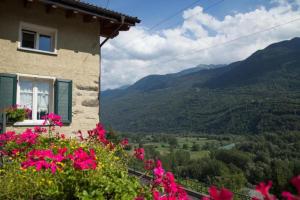 une maison avec des fleurs roses et une vue sur les montagnes dans l'établissement Ca' La Vedescia Mansarda Beli Miri, à Teglio