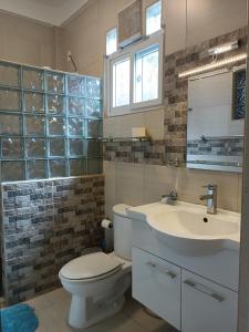 La salle de bains est pourvue de toilettes et d'un lavabo. dans l'établissement Villa Skanderbeg Guest House, à Puerto Princesa