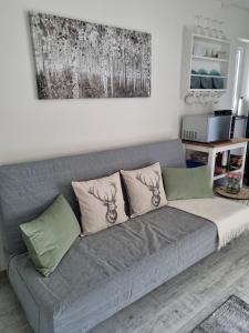 Harzilein في برونلاغ: أريكة رمادية مع وسائد في غرفة المعيشة