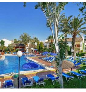 basen z niebieskimi krzesłami i palmami w obiekcie Apartamento jardines tropicales dos piscinas vera playa las marinas urbanización vera coast w mieście Vera