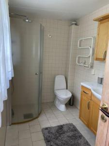uma casa de banho com um chuveiro, um WC e um lavatório. em Ljunghusen Holiday Inn Cottage em Ljunghusen