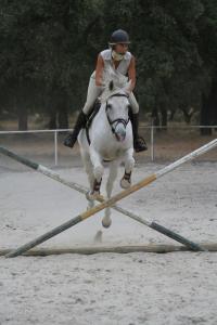a woman riding a horse jumping over an obstacle at Monte dos Duques in Santo Estêvão