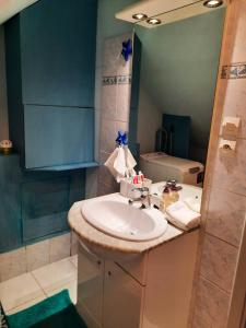 Kúpeľňa v ubytovaní Appartement spacieux à Ingersheim avec vue sur jardin, 100 m² + 14 fotografií