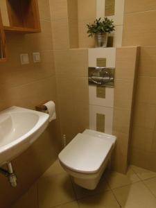 a bathroom with a toilet and a sink at Apartamenty z Basenem in Kościelisko