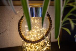 a glass vase with lights in it with a plant at Domaine Buhez Nevez in Trélévern