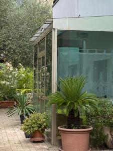 ein Gewächshaus mit Topfpflanzen vor einem Gebäude in der Unterkunft Residenza Kob in Arco
