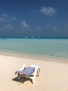 un banc assis sur une plage avec l'océan dans l'établissement Portia Hotel & Spa, à Dhiffushi
