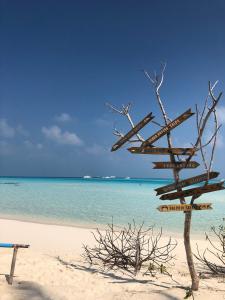 a beach with a tree with signs on it at Portia Hotel & Spa in Dhiffushi