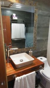 a bathroom with a sink and a toilet and a mirror at Refugios de Montaña Reloncaví - Ruka Lee III in Nevados de Chillan