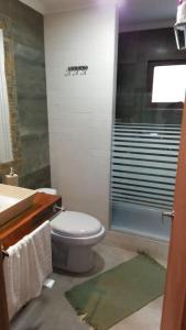 a bathroom with a toilet and a sink and a shower at Refugios de Montaña Reloncaví - Ruka Lee III in Nevados de Chillan