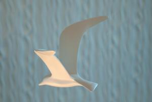 
a white bird flying through the air at Marina del Rey Hotel in Los Angeles
