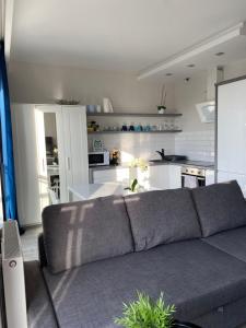 a living room with a gray couch and a kitchen at Apartament City Centre 108 in Olsztyn