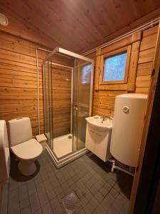a bathroom with a shower and a toilet and a sink at Cottage by the sea in Hanko