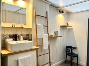 a bathroom with a sink and a ladder and a mirror at Le Dôme in Calais