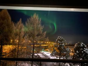 Fotografie z fotogalerie ubytování Apartment Lainas v destinaci Rovaniemi