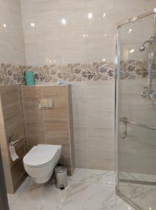 a bathroom with a toilet and a glass shower at Apartament Parkowa in Olecko