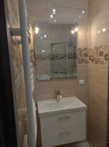Kúpeľňa v ubytovaní Apartament Parkowa + 8 fotografií