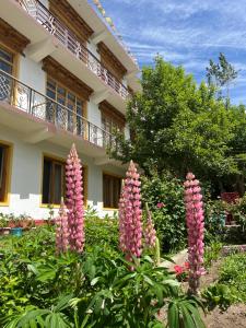 a group of pink flowers in front of a building at zikzik holidays in Leh