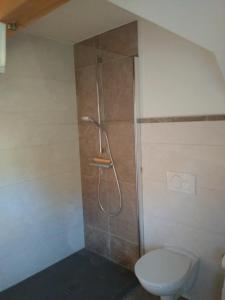 a bathroom with a shower with a toilet at Zeit-/Los Quilk in Aigen im Ennstal