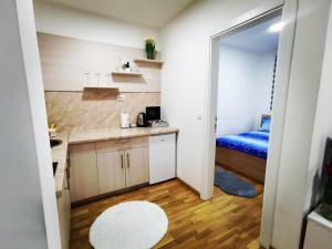 um pequeno quarto com uma cozinha e uma cama em Apartman Lena em Doboj