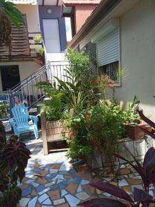 a patio with a blue chair and some plants at Pinpin in Pointe-Noire